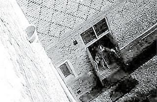 闹鬼的和谐之谜：埋葬在C,探寻古代和谐文化的神秘遗产